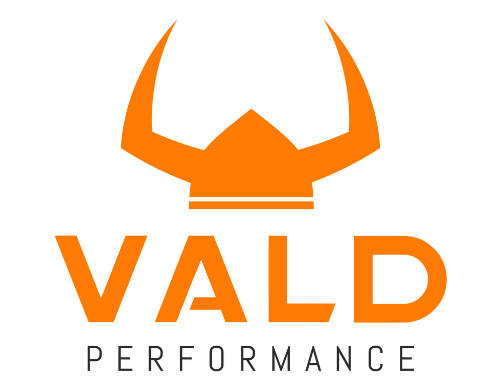 VALD PERFORMANCE logo
